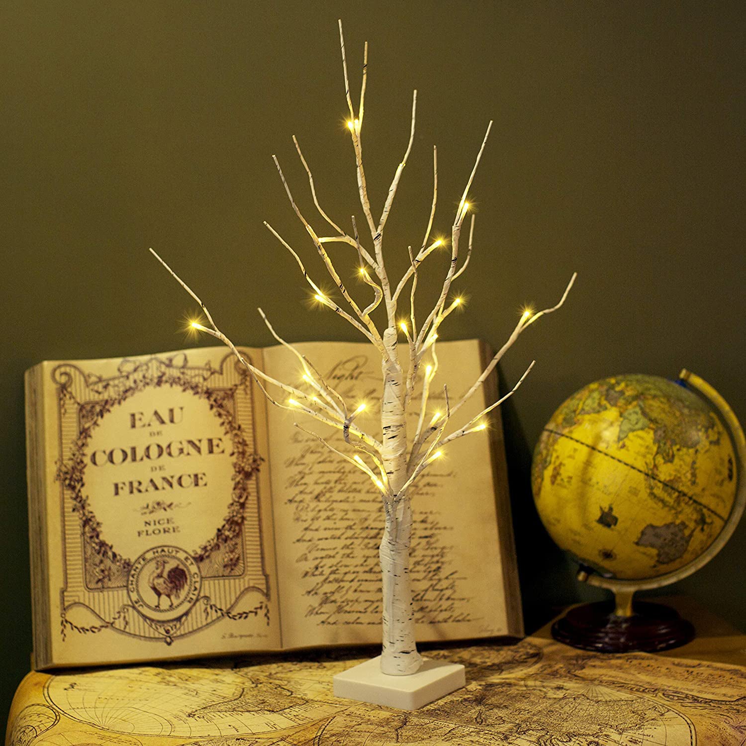 LED Christmas Birch Home Lights