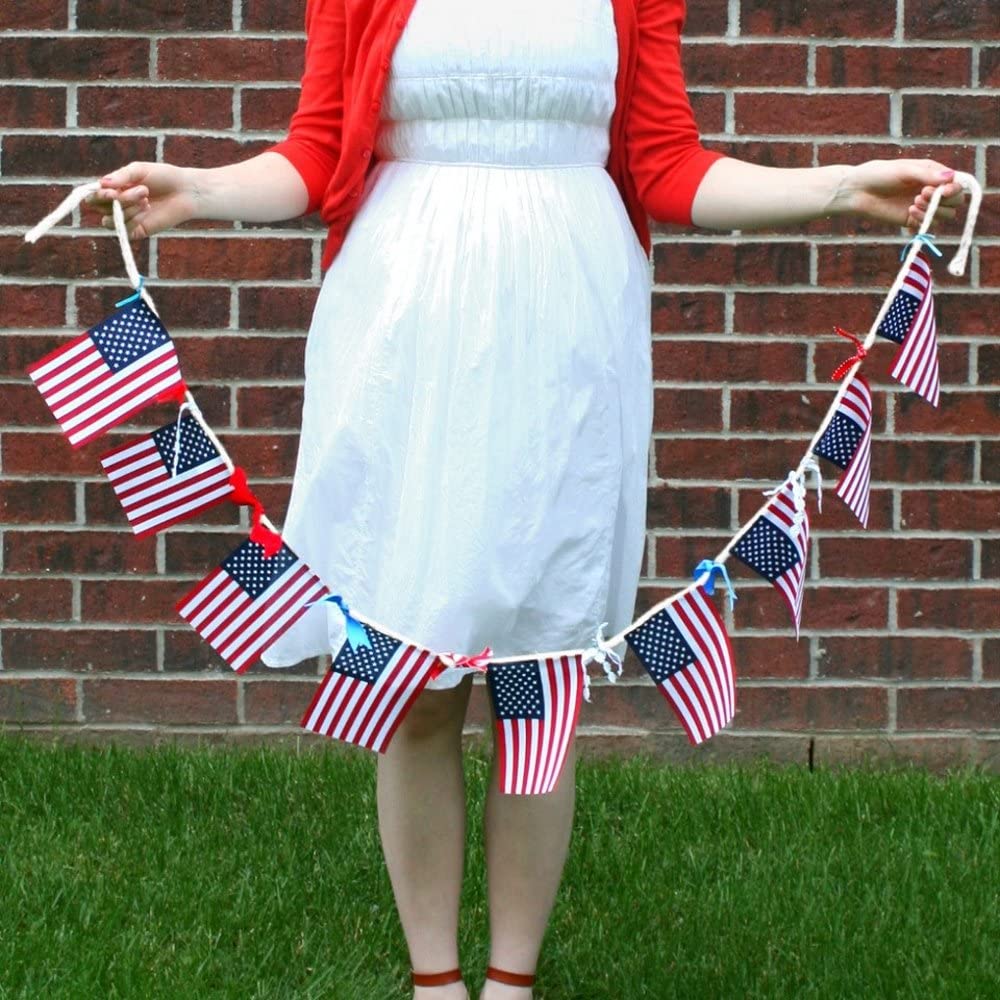 USA American String Pennant Banners
